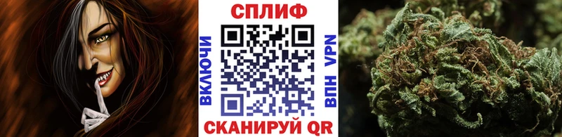 Купить закладки  Дмитриев  Бошки Шишки марихуана 